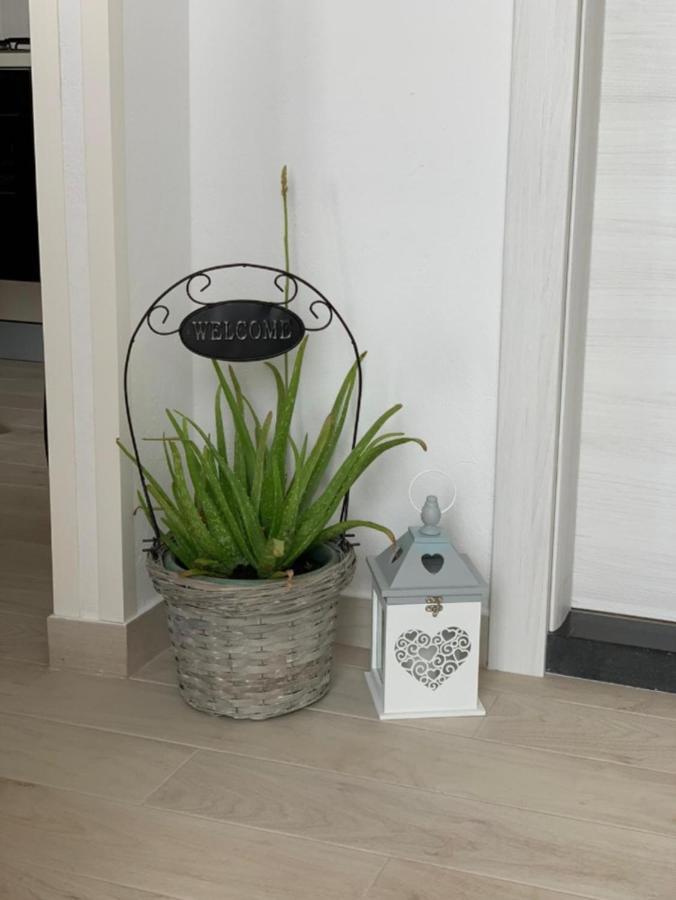 Apartment Salov トロギール 部屋 写真